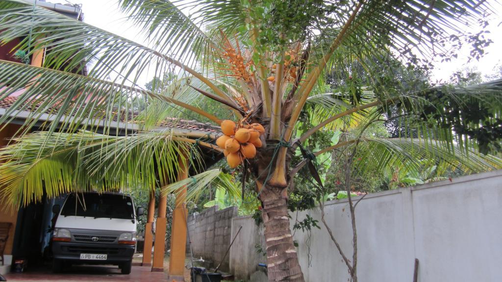 Ranith Villa Tangalle Exterior photo